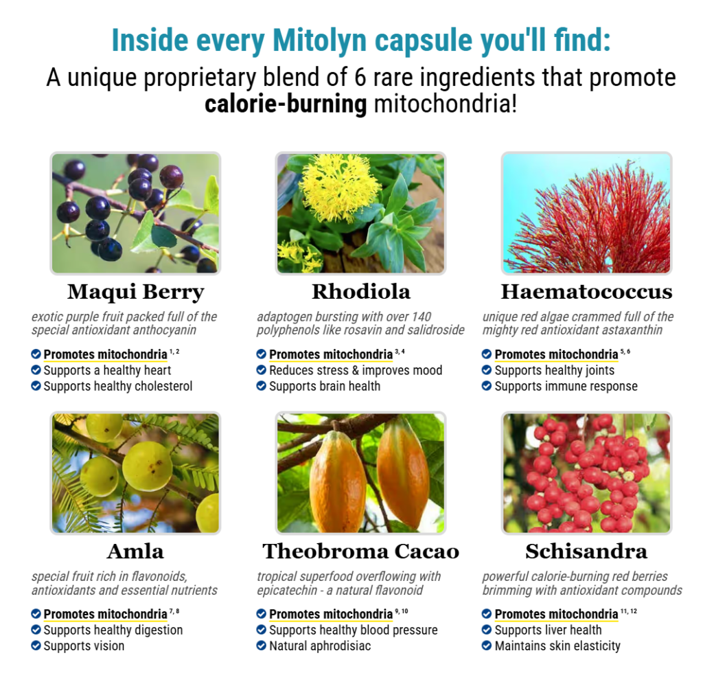 Key Ingredients in Mitolyn